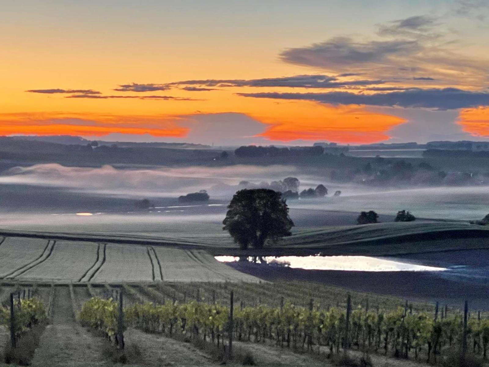 Paradis Des Vignes Birac (Charente) Quarto foto
