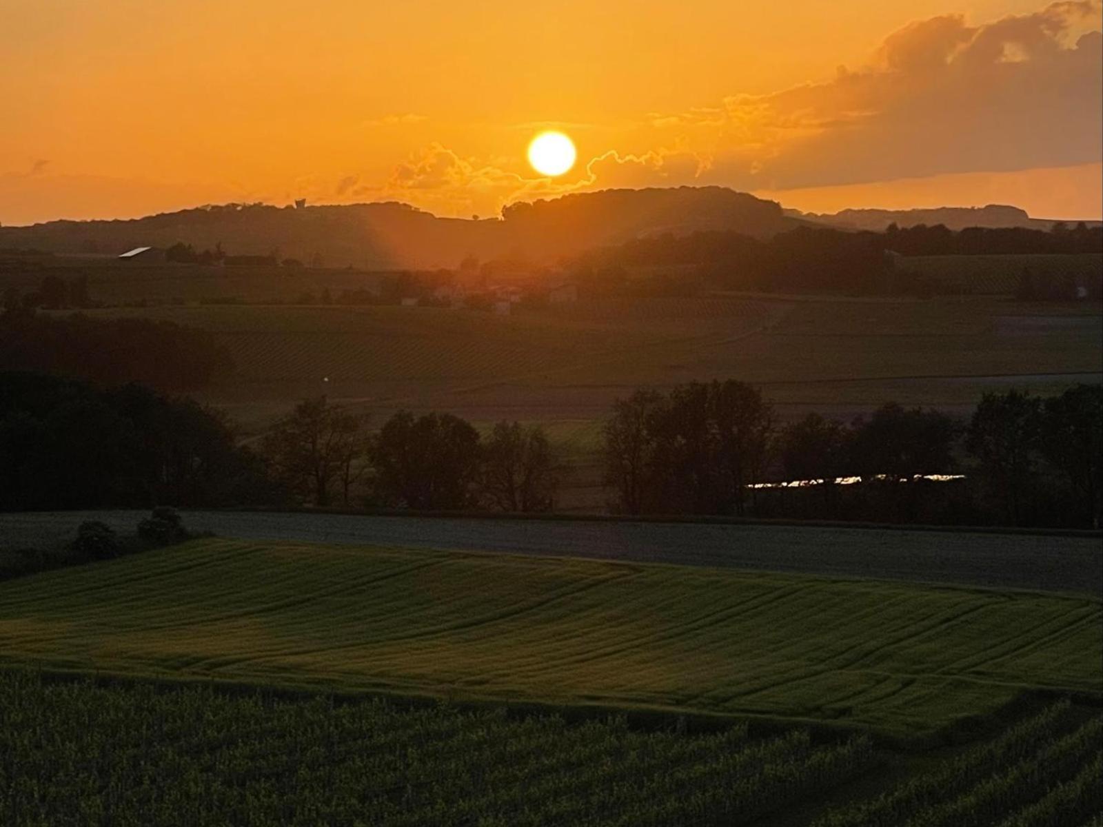 Paradis Des Vignes Birac (Charente) Quarto foto