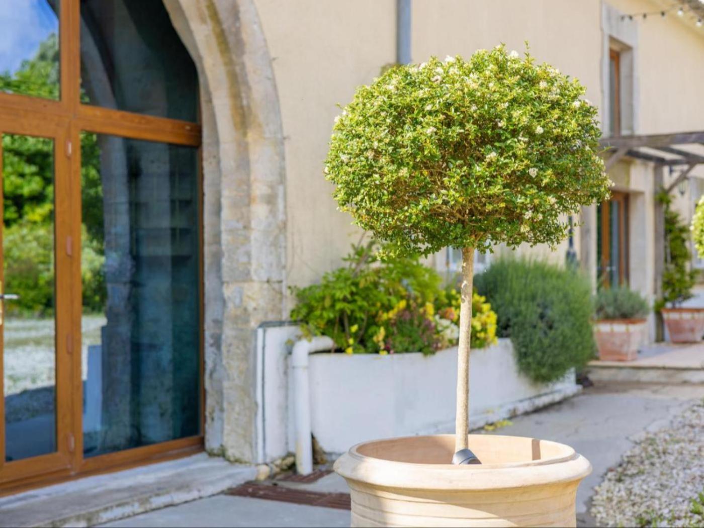 Paradis Des Vignes Birac (Charente) Quarto foto
