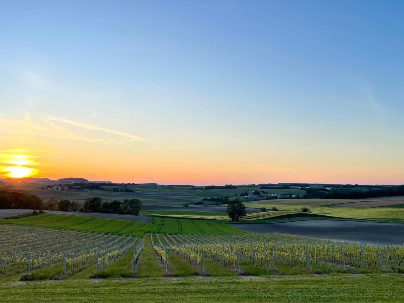 Paradis Des Vignes Birac (Charente) Quarto foto